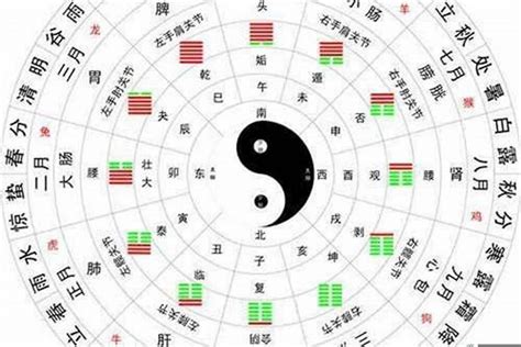 金木水火土五行查询表|生辰八字五行查询